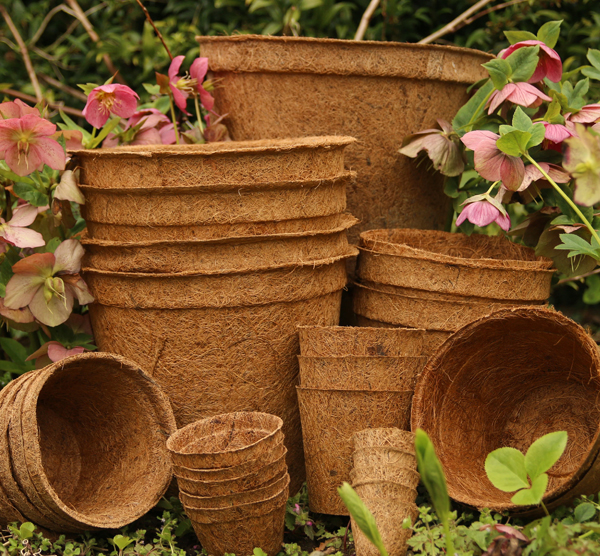 Coconut Fibre Green Straps