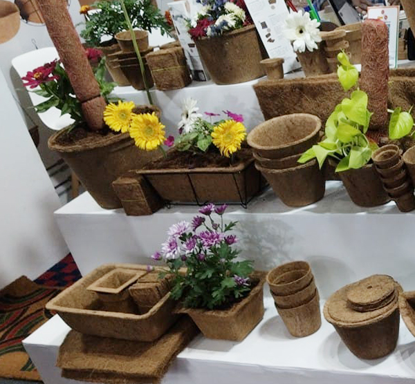 Coconut Fibre Green Straps