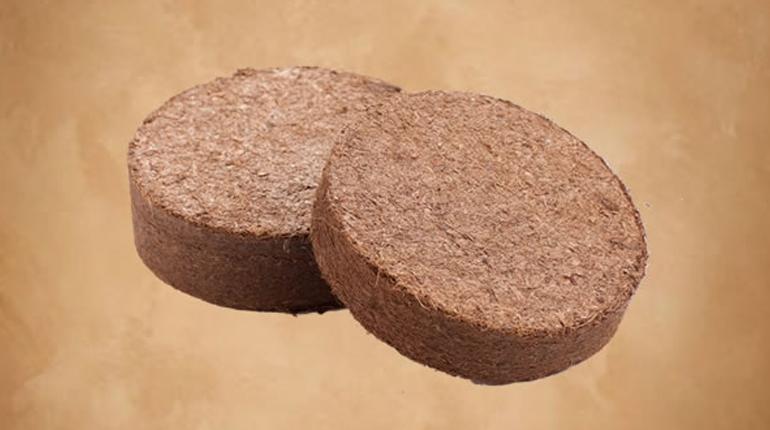 Coco Peat Discs Cubes Coins
