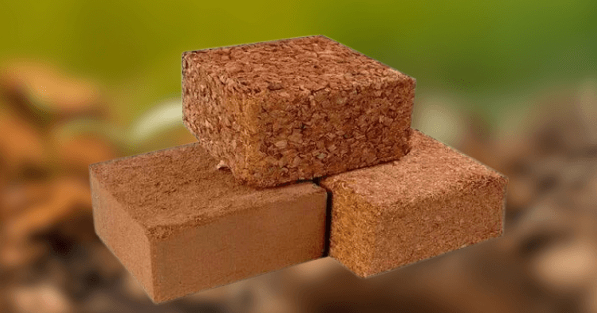 High EC Chips Blocks