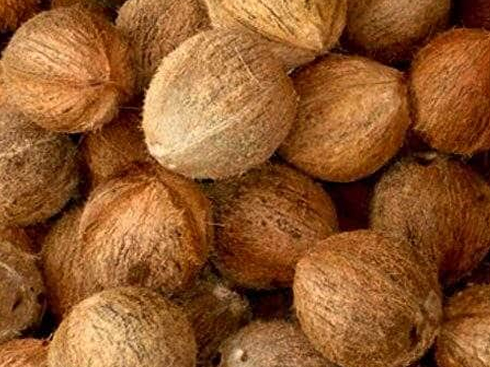 COCONUTS
